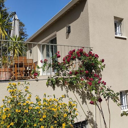 Charmante Maison Avec Jardin Aux Portes Des Gorges De L'Ardeche Saint-Julien-de-Peyrolas Bagian luar foto